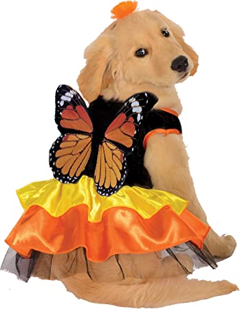 Rubies Costume Co Halloween Classics Collection Pet Costume, Small, Monarch Butterfly