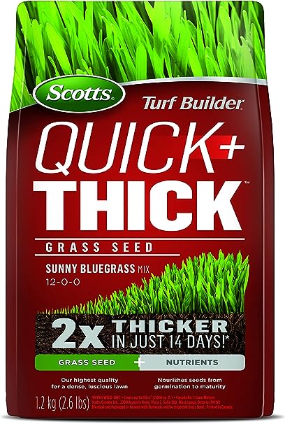 Scotts Turf Builder Quick   Thick Grass Seed (Sunny Bluegrass) 1.2kg (12665), Green