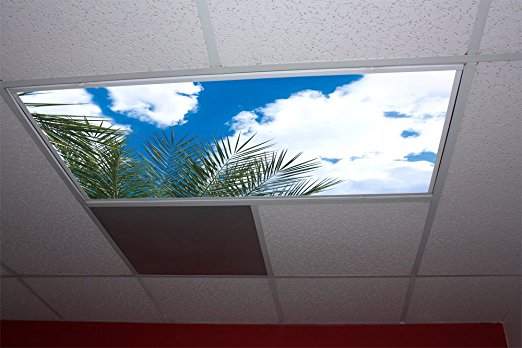 Palm Tree Skypanels; Fluorescent Light Diffuser