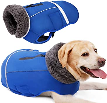 Petneces Dog Coat Thick Warm Snowsuit Fleece Lined Jacket for Winter Outdoor Waterproof Reflective Vest (XL(Back Length:19.69"), Blue)