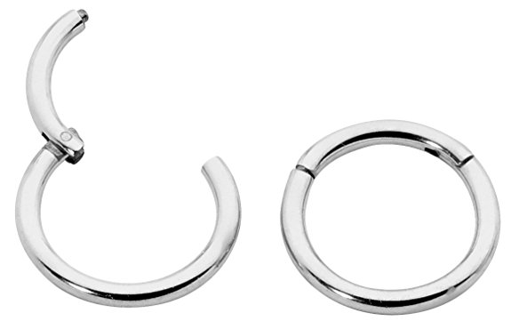 1 Pair Stainless Steel 5/16" (8mm) 18G (Thin) Hinged Continuous Segment Ring Hoop Sleeper Earrings Body Piercing