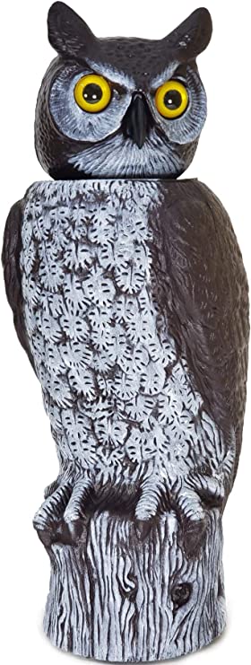 Gardeneer by Dalen Natural Enemy Scarecrow 360º Rotating Head Owl Decoy - 18-Inch Hand-Painted Fake Owl to Keep Birds Away - Realistic Pest and Bird Deterrent Owl