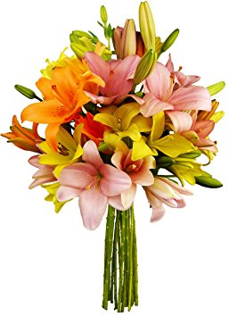 Benchmark Bouquets 12 Stem Assorted Asiatic Lilies, No Vase