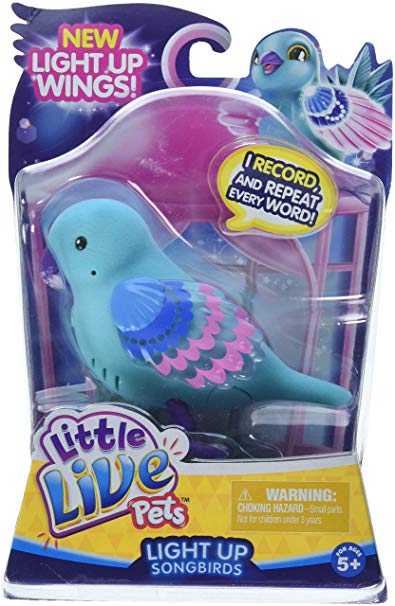 Little Live Pets Season 8 Bird Single Pack - Shelly Shimmer