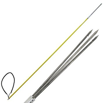 Scuba Choice 6 One Piece Spearfishing Fiber Glass Pole Spear with 3 Prong Barb SS Paralyzer Tip