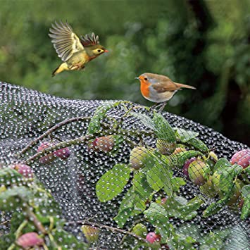 VIVOSUN Anti Bird Netting 7.5' x 65' Heavy Duty Garden Plant Netting