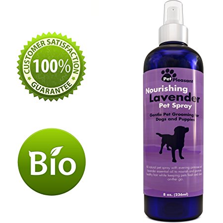 Natural Pet Spray – Aromatherapy Lavender Essential Oil & Primrose Fur Deodorizer - For Dogs & Puppies – Cat Grooming Spray - Cleaner & Odor Control Spray - Cruelty Free – Tear Free Formula - 8 Oz