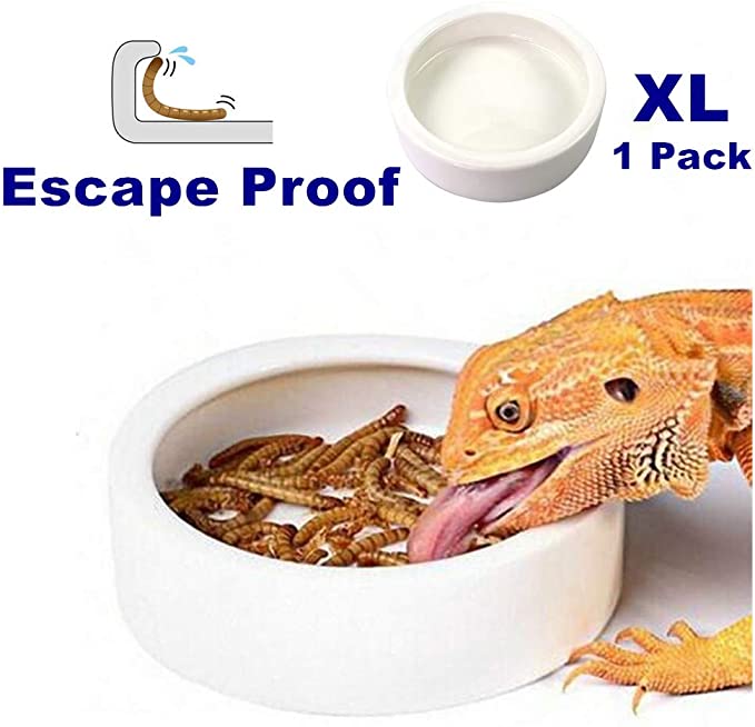 Reptile Food Bowl Dish - Worm Dish Reptile Water Bowl Lizard Gecko Ceramic Pet Bowls, Mealworms Dish for Bearded Dragon Chameleon Hermit Crab Dubia Cricket Dish Anti-Escape Mini Reptile Feeder XL(5in)