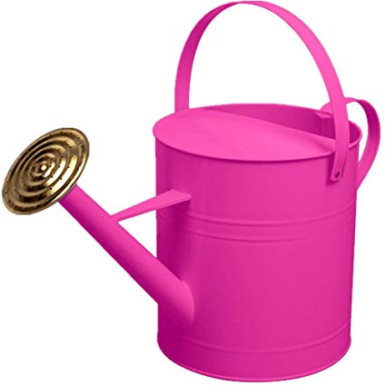 CrazyGadget® Garden Plant Flower Colour Galvanised Metal Steel Watering Can 9L 9 Litre / 2 Gallon with Brass Rose (Pink)