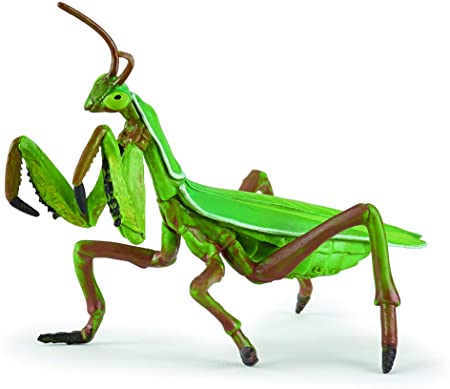 Papo Praying Mantis, Green, (Model: 50244)