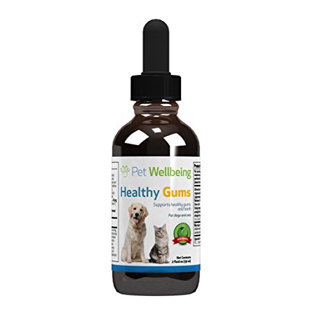 Pet Wellbeing - Healthy Gums for Cats - Natural Support for Periodontal Health in Felines - 2oz (59ml)