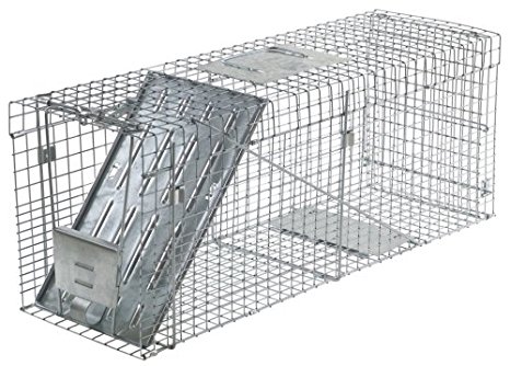 Havahart 1089  Collapsible One-Door Live Animal Cage Trap for Raccoon, Stray Cat,  Groundhog, Opossum, and Armadillos