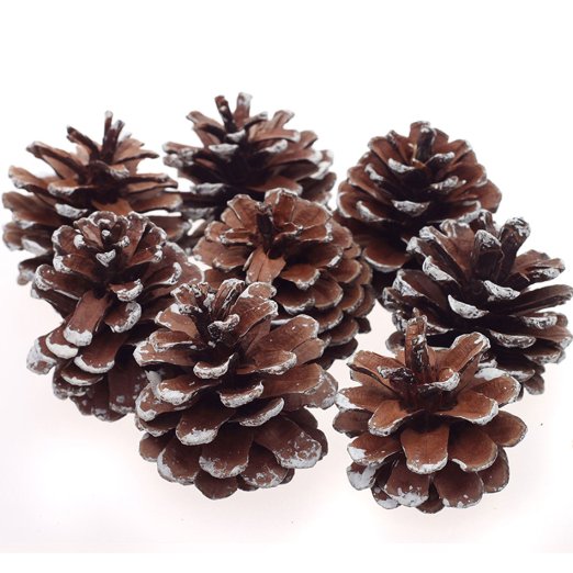 8Pcs Snow Pinecone Ornaments Christmas Tree Decorations Baubles Pine Cones