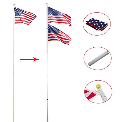 Peach Tree Basic Portable Commercial Flag Pole Outdoor Garden Construction Heavy Duty Aluminum Alloy with two USA flags, Silver (20ft)