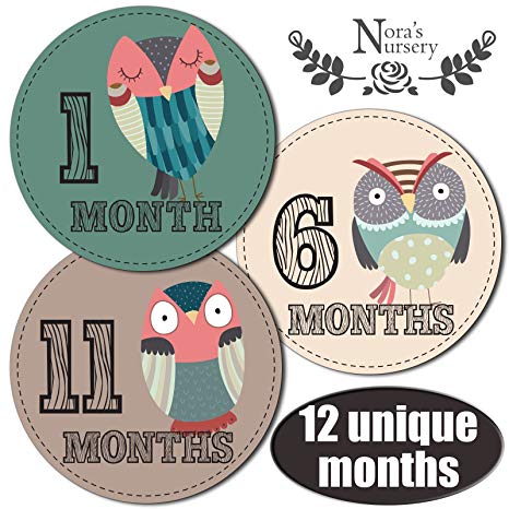 Owl Baby Boy or Girl Monthly Milestone Stickers for First Year Newborn to 12 Month by Month Photo Prop Infant Onesie Sticker Set, Shower Registry Gift or Scrapbook Photo Keepsake