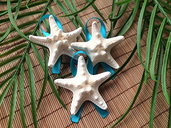 Men's Knobby Starfish Wedding Boutonnieres with Ribbon, 3