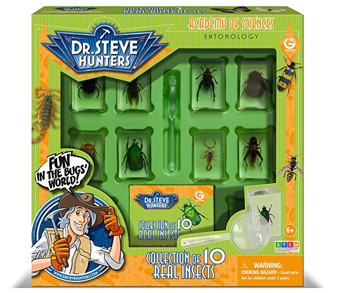 Uncle Milton Dr. Steve Hunters - Bugs World Collection - 10 Real Insects - Scientific Educational Toy