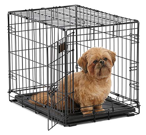 MidWest 1524 iCrate Single-Door Pet Crate 24-By-18 -By-19-Inch