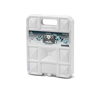 ORION Black Ice/Frostbite Arctic Ice – Extra Large Long Lasting Freezer Ice Pack – Hard Shell Dry Ice Alternative Cooler Accessory