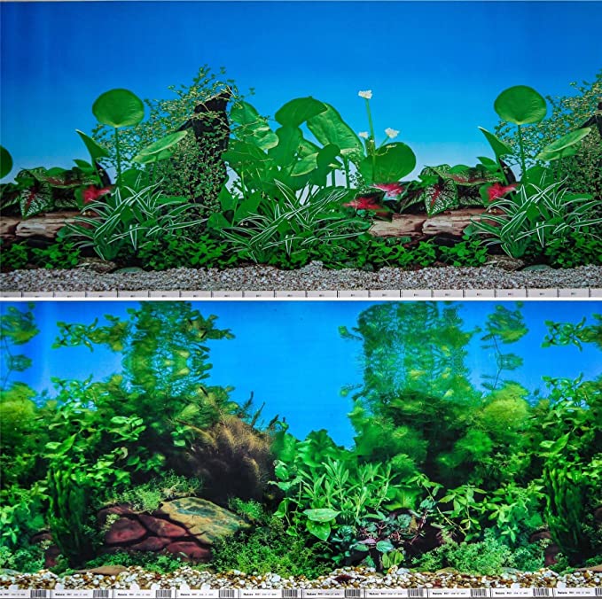 Hidom Aquarium Background Poster Double Sided - Height 19" / 50cm - Length 3 FT / 91cm - Two Scenic Pictures displaying Aquatic Backdrops - DS 500-9011/9031-3