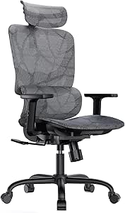 HUANUO Ergonomic Mesh Office Chair, High Back Desk Chair with Adjustable Lumbar Support, Armrests, Rocking Tilt, Mesh Computer Gaming Chair, Reclining Comfy Home Office Chair