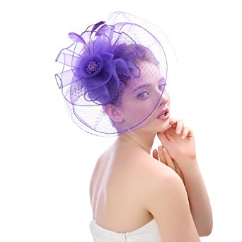 Urban CoCo Women's Elegant Flower Feather and Veil Fascinator Cocktail Party Hair Clip Hat