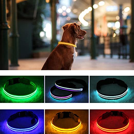 PPWW Light Up Dog Collar - LED Dog Collar - USB Rechargeable, Waterproof - Safe Design - Glow Collars for Dogs