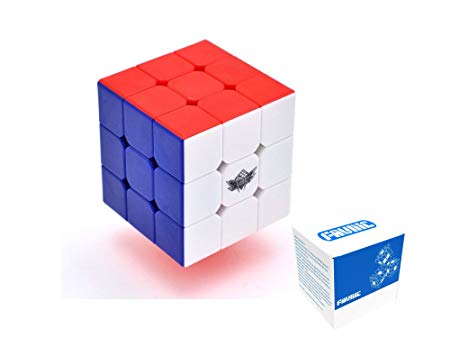 FAVNIC Cyclone Boys Speed Cube Stickerless Enhanced Version Smooth Magic Cube Puzzles(X-3X3X3) (XF333)