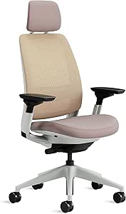 Steelcase Series 2 Ergonomischer Bürostuhl mit LiveBack Lumbalstütze, 4D-Armlehnen, anpassbarer Kopfstütze Linse