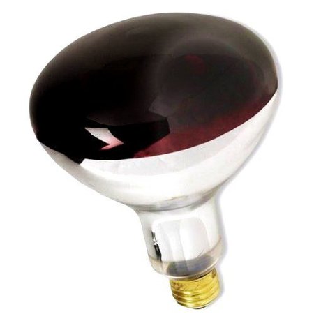 Triangle Bulbs T20931 - 250R40/RED, 250 Watt, R40 Reflector, 120 Volt, Red, Standard E26 Base, Incandescent Heat Lamp Light Bulb