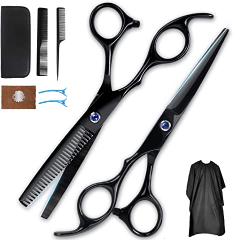 Professional Hairdressing Barber Hair Scissor - 10PCS Stainless Steel Hair Cutting Shears,Home Haircutting Barber Salon Thinning Shears Kit with Comb and Case for Men/Women