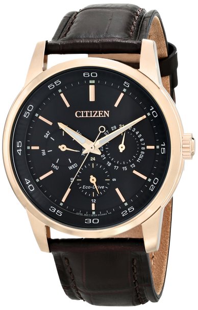 Citizen Men's BU2013-08E Eco-Drive Gold-Tone Watch with Brown Leather Band