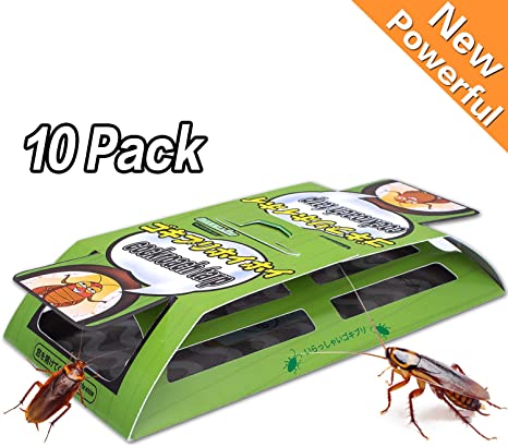 Dekugaa Cockroach Traps with Bait, 10 Pack Sticky Paper Premium Glue Trap | Insect Trap | Eco-Friendly | Spiders Ants Roach Killer