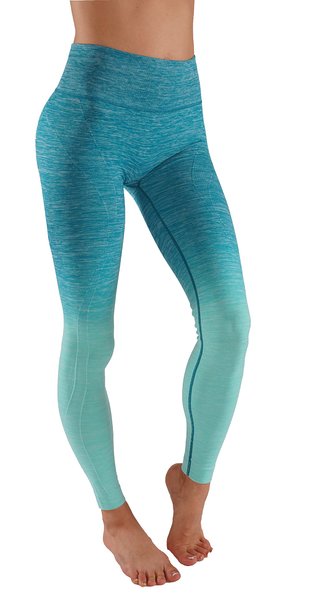 Women's Flexible Yoga Pants Ombre Leggings Activewaer L704