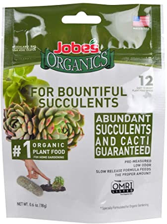 Jobe's 06703 Succulent Fertilizer Spikes, 12, Natural