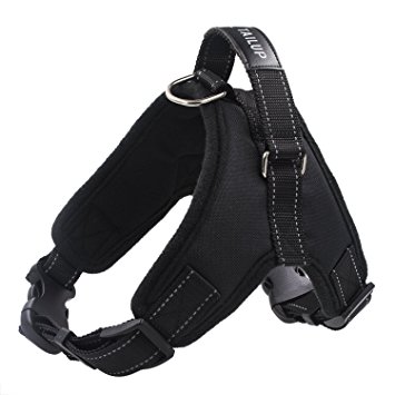 Aidle Dog Vest Harness , Adjustable Soft Padded Breathable Saddle Vest Harness for Small Medium Large Dogs (S(chest:18-20"))