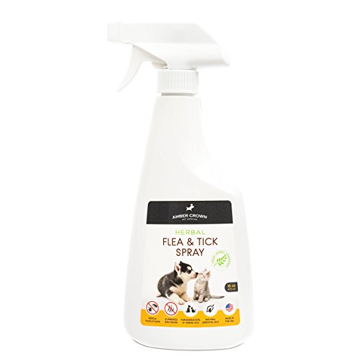 Amber Crown Herbal Flea & Tick Spray for Dogs and Cats