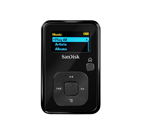 SanDisk Sansa Clip  4GB MP3 Player,Black With Built-In FM Radio & Voice Recorder- SDMX18R-004GK-A57 (Discontinued by Manufacturer)