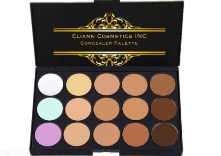 Eliann Cosmetics Professional 15 Color Concealer and Foundation Palette