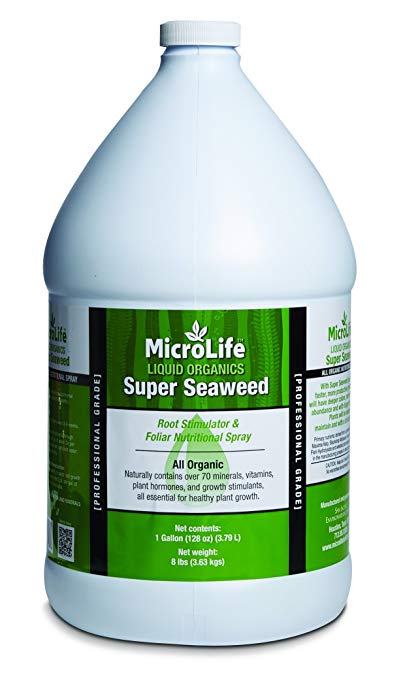 Organic Liquid Fertilizer Super Seaweed Concentrate Professional Grade for Indoor & Outdoor Plants by MicroLife (1 Gal)