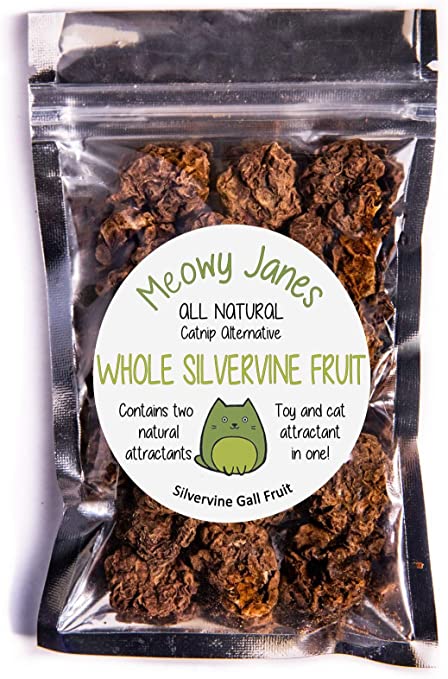 Meowy Janes Whole Silvervine Fruit- Dried Silvervine Gall Fruit- Actinidia Polygama - Cat Toy - Cat Treat