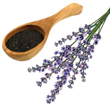 Common English Lavender Seeds - Lavandula Angustifolia Vera - Perennial Bulk Lavender Seeds for Planting (5,500 Seeds, 1 Packet)