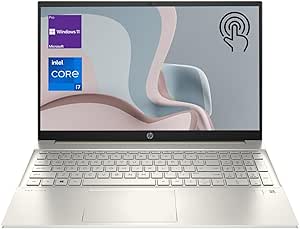 HP Pavilion Daily Traditional Laptop, 15.6" FHD Touchscreen, Intel Core i7-1360P, 64GB RAM, 4TB SSD, Backlit Keyboard, Numeric Keypad, FP Reader, Webcam, HDMI, Wi-Fi 6, Windows 11 Pro, Gold