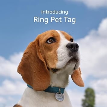 Introducing Ring Pet Tag | Easy-to-use tag with QR code | Real-time scan alerts | Shareable Pet Profile | No subscription or fees