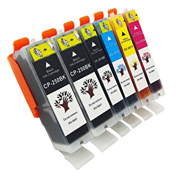 GREENSKY 6 Pack Compatible Ink Cartridge Replacement For Canon PGI-250 & CLI-251 (2BX,1B,1C,1M,1Y) Compatible With Canon PIXMA MG5520 MG5420 MG6320 MG7120 MX722 MX922 iP7220 iP8720 iX6820 etc