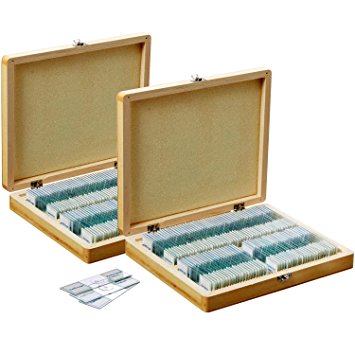 AmScope PS200A Prepared Microscope Slide Set for Basic Biological Science Education, 200 Slides, Set A, Includes Fitted Wooden Case
