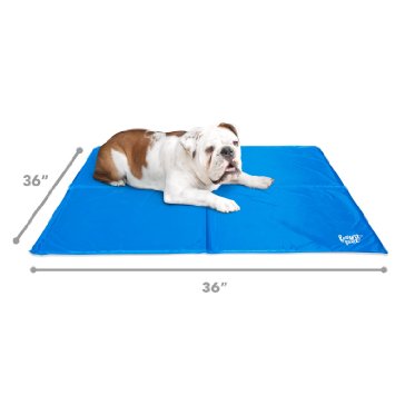 Frontpet Self Cooling mat for dogs EXTRA LARGE (36 INCH X 36INCH) Dog Cooling Mat / Cooling pad for Dogs