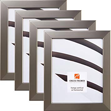 Craig Frames 26966 10 x 13 Inch Picture Frame, Stainless Silver, Set of 4