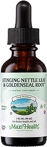 Stinging Nettle Leaf and Goldenseal Root Blend - Alcohol Free Stinging Nettle Tincture with Organic Nettle Leaf (Urtica Dioica) - Urinary Health, Kidney Support - Nettle Extract Liquid Drops, 1 fl oz