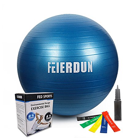 Exercise Ball - Anti Burst Tested yoga ball Supports 2200lbs,Includes Exercise Resistance Loop Bands & Hand Pump for Home, Balance, Gym, Core Strength, Yoga, Fitness, Pilates